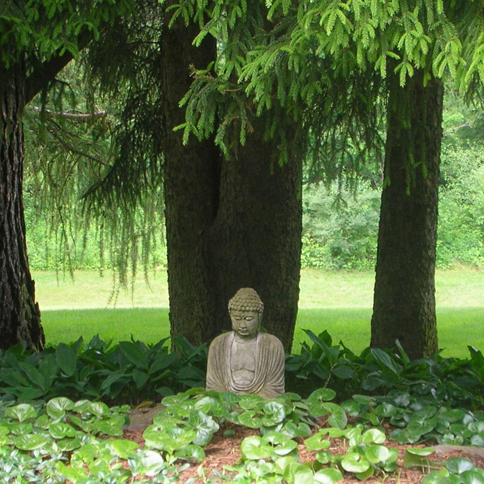 About Foxgloves Fine Gardening